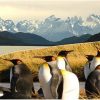 Tierra del Fuego y Torres del Paine 4 días / 3 noches- Disponible