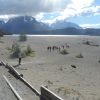 Full day Torres del PAINE - Imagen 4