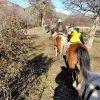 Cabalgata Laguna Sofia ,Cerca de  Puerto Natales - Imagen 7